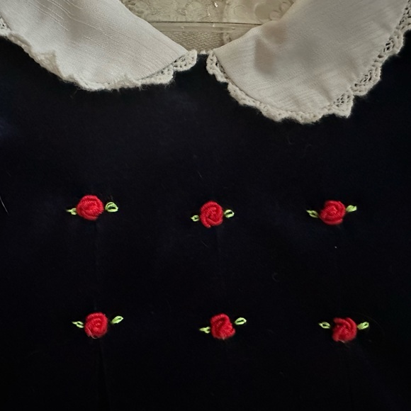 Vintage Navy Velvet Embroidered Dress - Picture 2 of 5